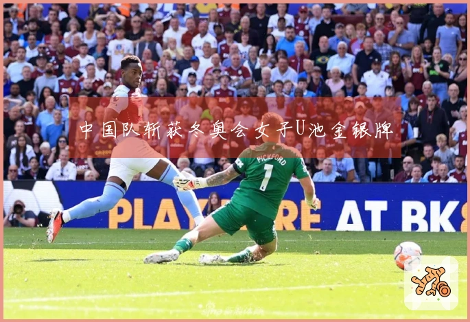 中国队斩获冬奥会女子U池金银牌